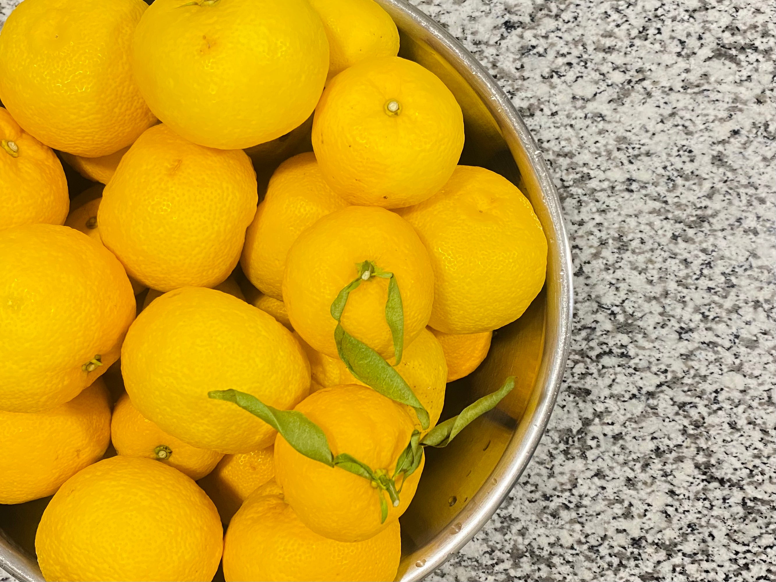 ケイクシルク【柚子】